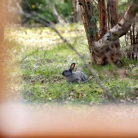 2544-nexo-skovsangervej-29 *