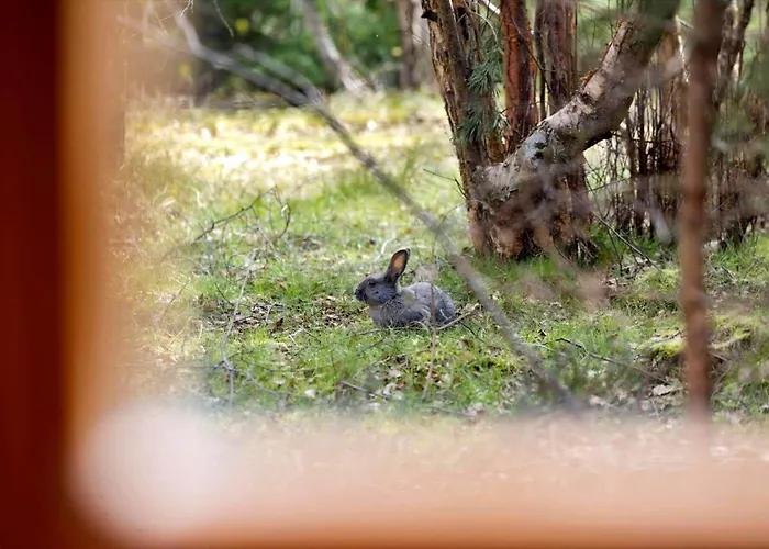 2544-nexo-skovsangervej-29 *